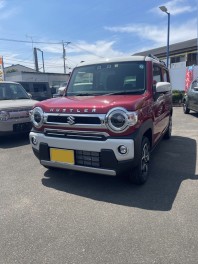 新型ハスラーがやってきました！！！